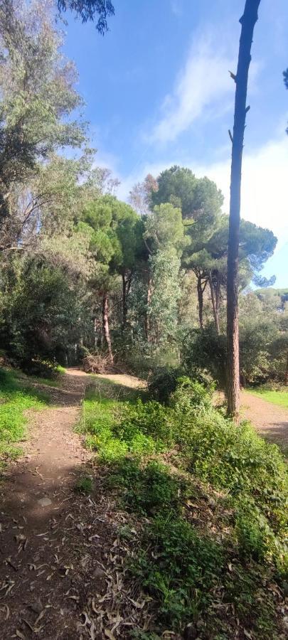 Beach Forest Paradise Μαρμπέλλα Εξωτερικό φωτογραφία