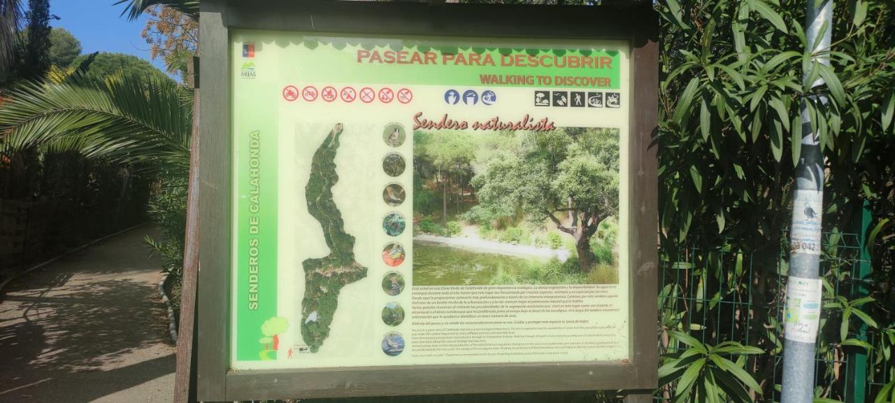 Beach Forest Paradise Μαρμπέλλα Εξωτερικό φωτογραφία