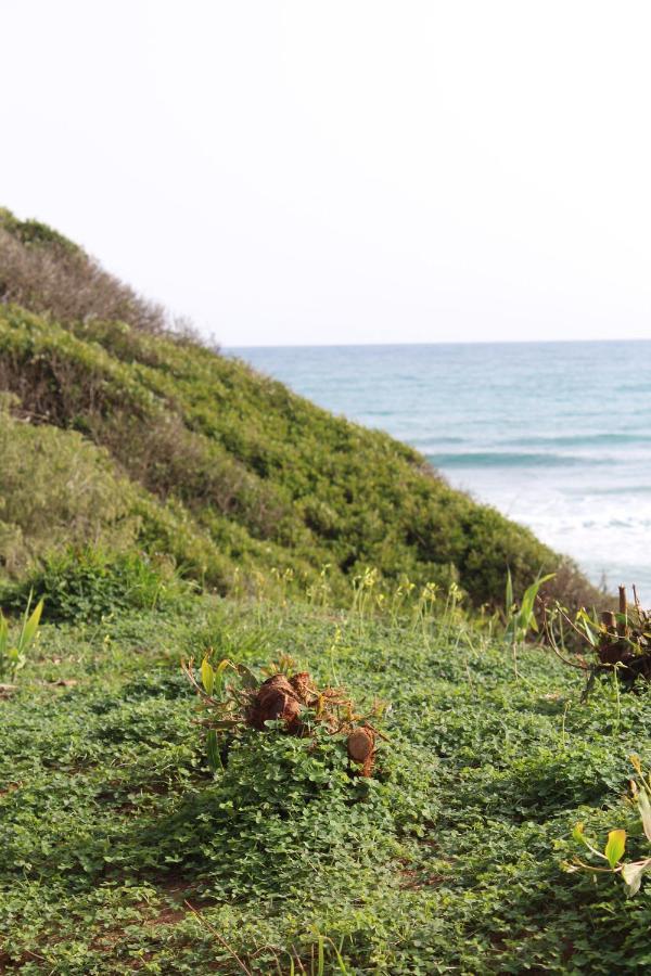 Beach Forest Paradise Διαμέρισμα Μαρμπέλλα Εξωτερικό φωτογραφία