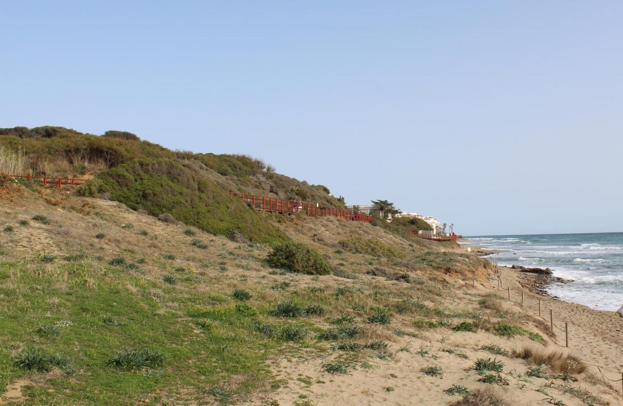 Beach Forest Paradise Μαρμπέλλα Εξωτερικό φωτογραφία